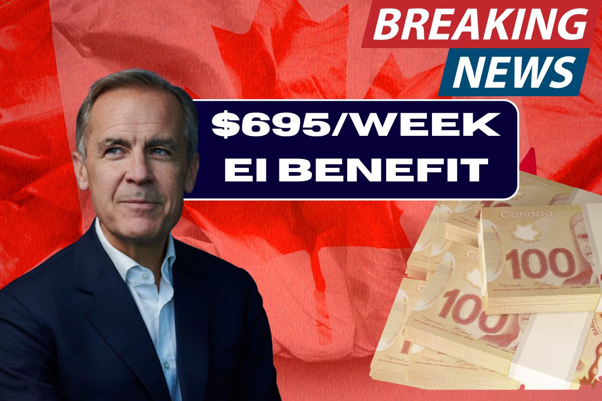 $695 /week EI Benefit 2025: Check Conditions